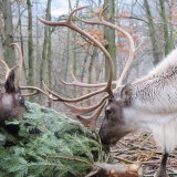 S Avionem jsme nakrmili zvířata v brněnské zoo